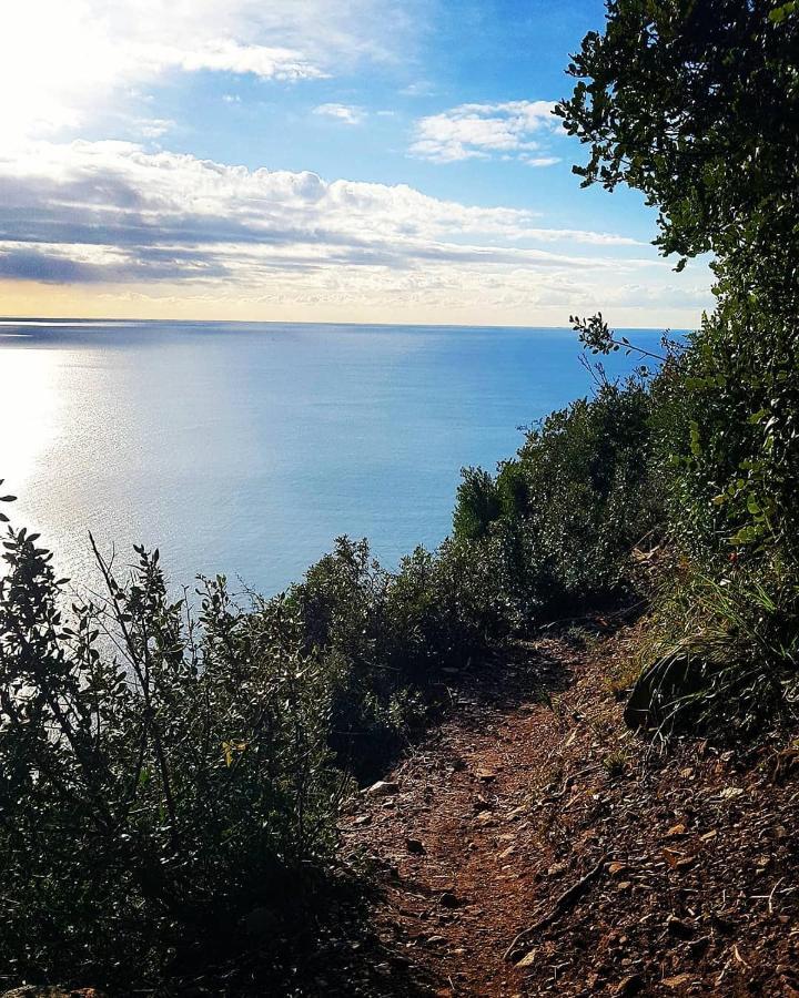 Salvia E Rosmarino - Affittacamere In Liguria Villanova d'Albenga Exterior foto