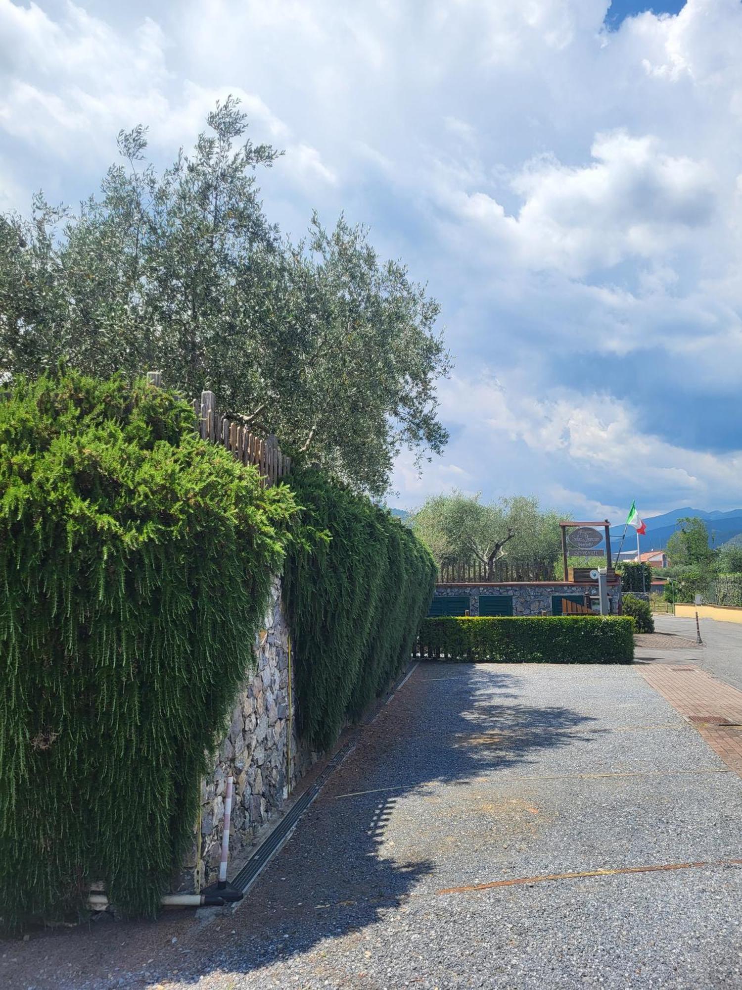 Salvia E Rosmarino - Affittacamere In Liguria Villanova d'Albenga Exterior foto