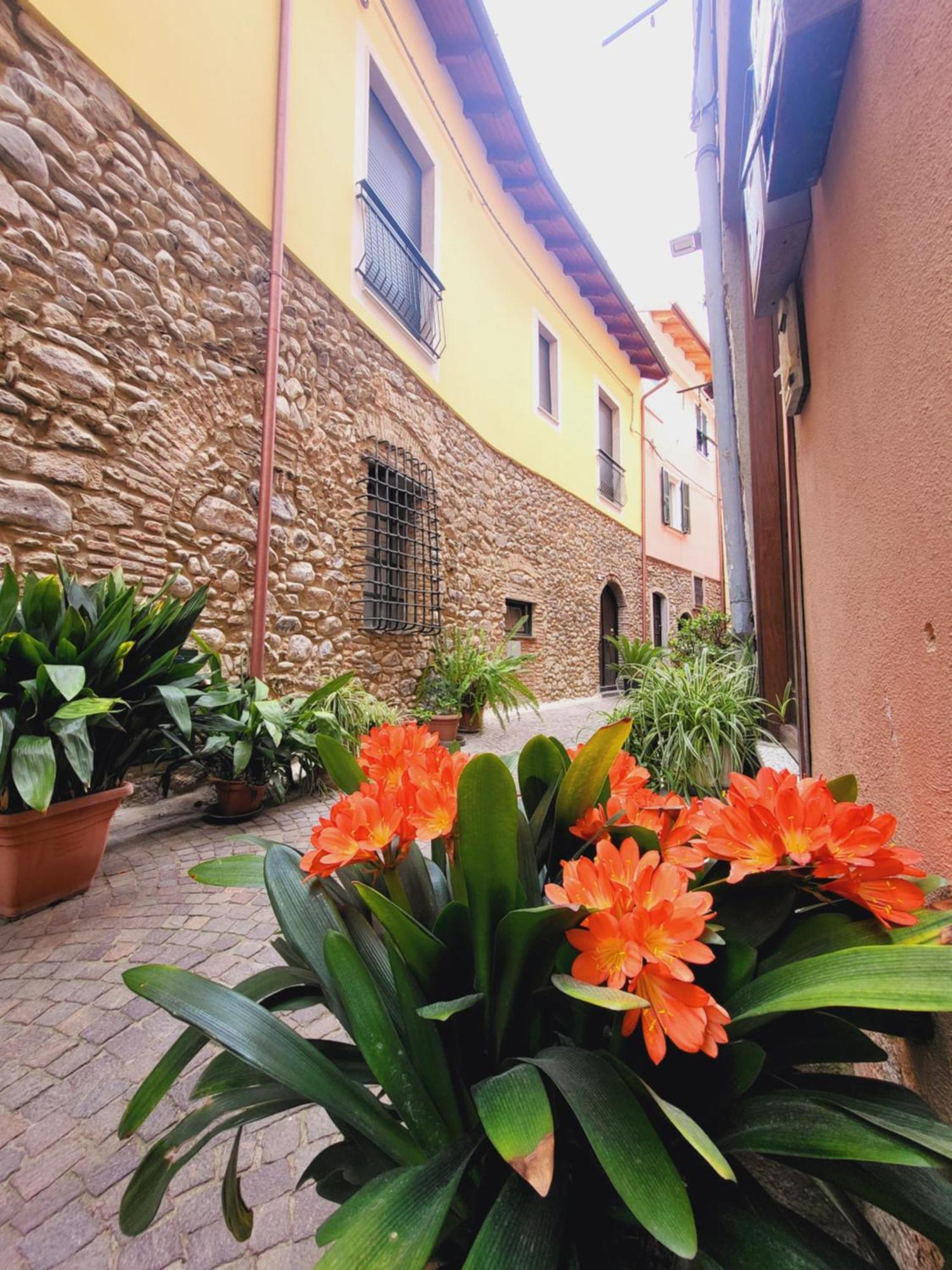 Salvia E Rosmarino - Affittacamere In Liguria Villanova d'Albenga Exterior foto